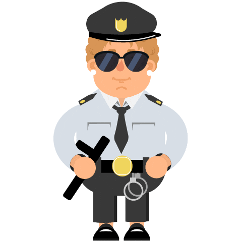 Shaheen Security Services