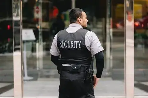 Armed security services